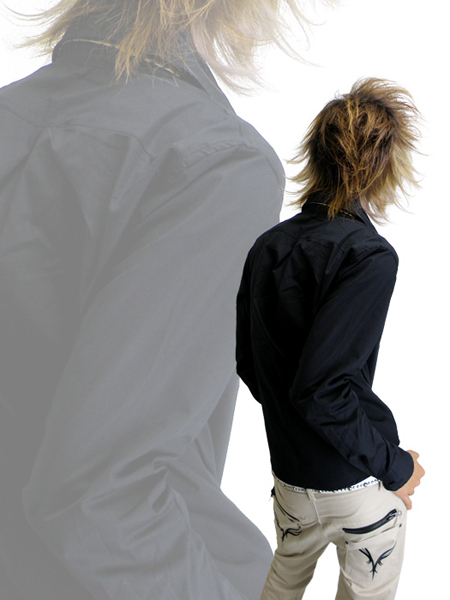 Vice Fairy�i�o�C�X�t�F�A���[�j�V���c