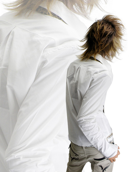 Vice Fairy�i�o�C�X�t�F�A���[�j�V���c