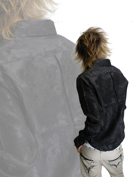 Vice Fairy�i�o�C�X�t�F�A���[�j�V���c