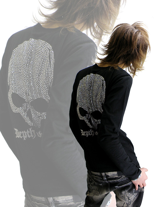 Vice Fairy�i�o�C�X�t�F�A���[�j���C���X�g�[���X�J������T